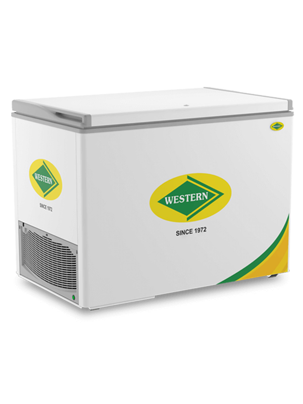 Western - NWHF325HSD - Hard Top Deep Freezer